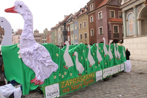 święto niepodległości 1 - Grzegorz Maciejewski 