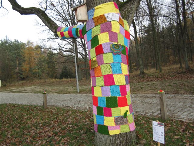 Puszcza włóczka (7) - Magdalena Konieczna