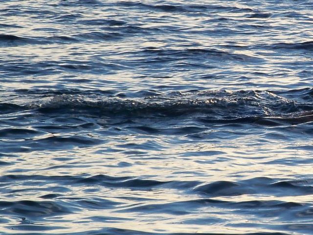 woda, pływak, jezioro - Archiwum