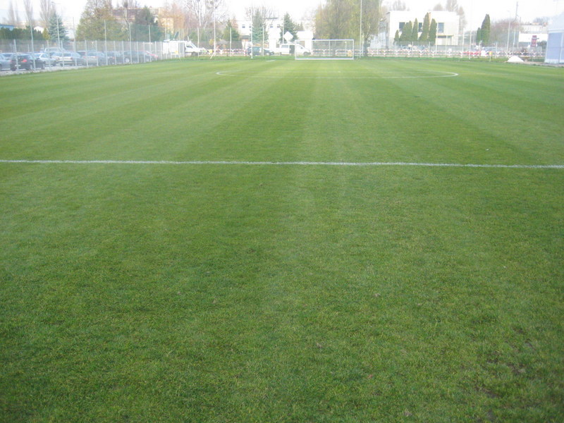 boisko piłka nożna - Jacek Butlewski