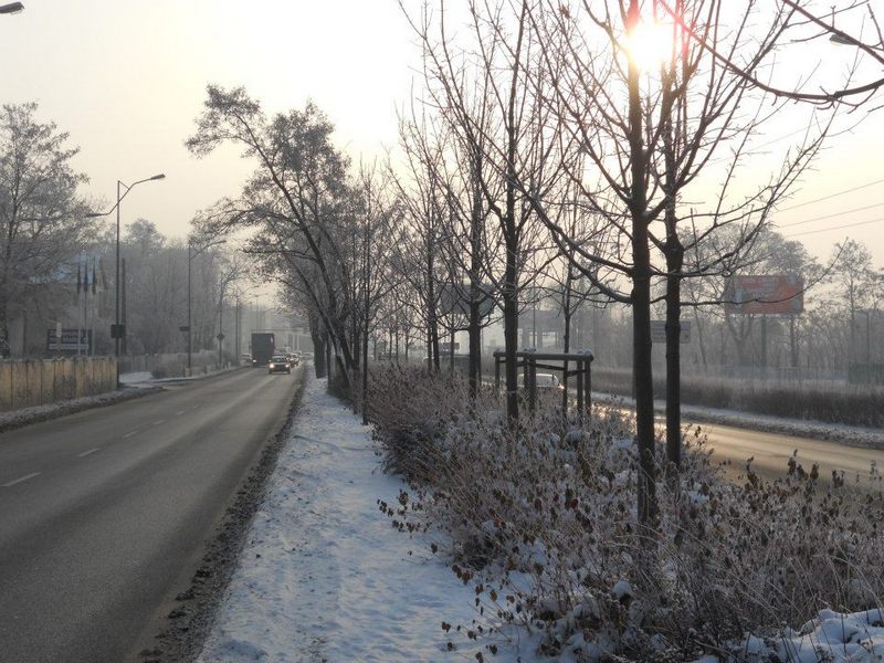 biala zima w miescie - Zarząd Zieleni Miejskiej w Poznaniu