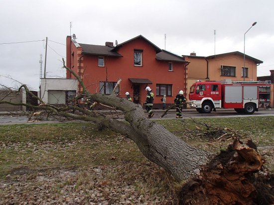 ksawery_w_Nowym_Tomyslu - Straż Pożarna Nowy Tomyśl