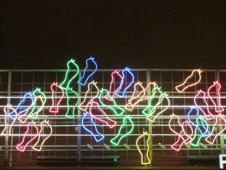 slowiki poznanskie neon - kultura.poznan.pl