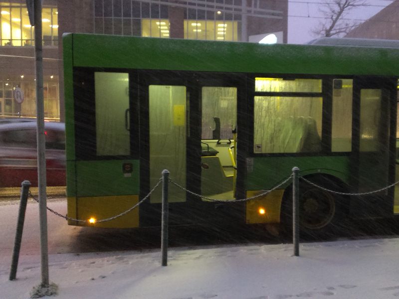 autobus w zamieci - Adam Michalkiewicz