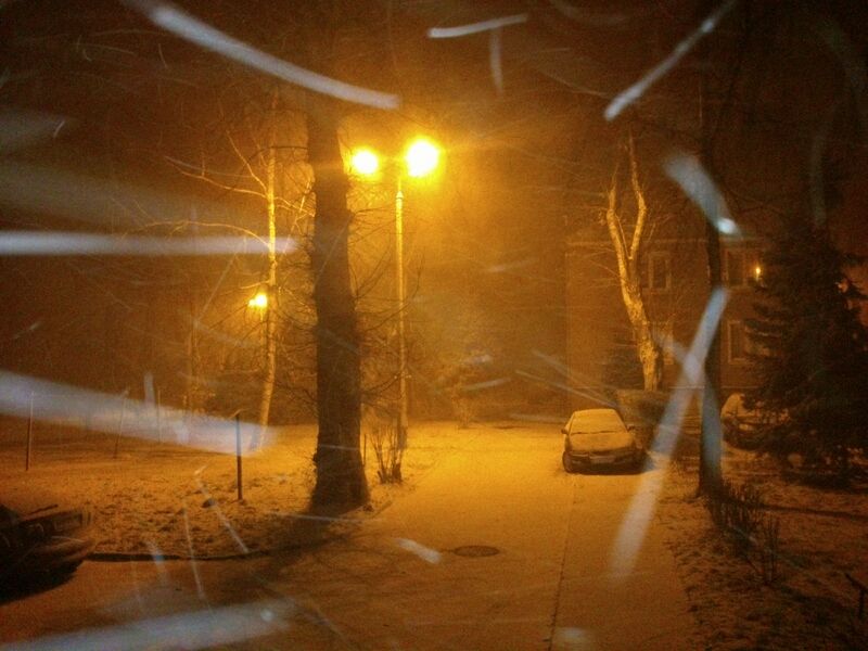 zamiec w koninie - Emilia Chudzińska