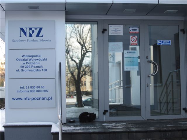 nfz drzwi otwarte2 - Magda Konieczna