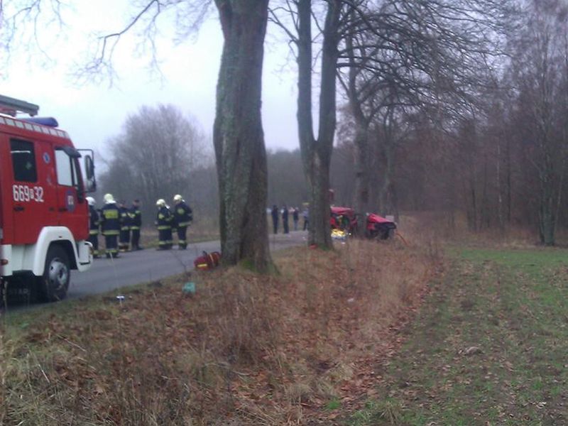 wypadek jastrowie - drzewo (2) - zdjęcie ilustracyjne