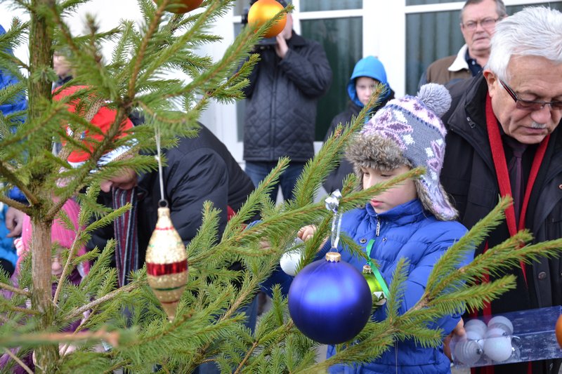 choinkanawodzie21 - Danuta Synkiewicz