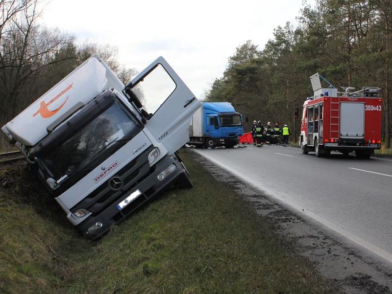 wypadek pod lesznem - smiertelny (1) - Straż Pożarna Leszno