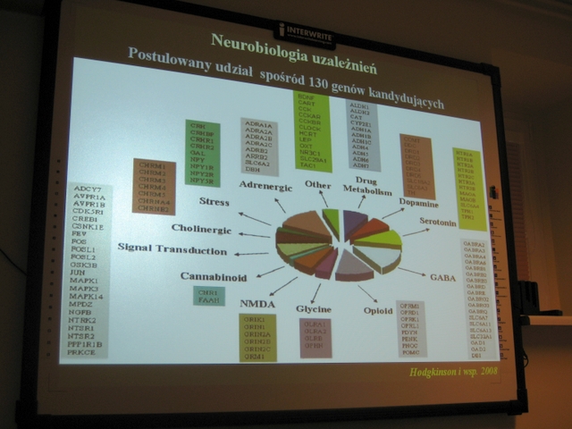 dopalacze - konferencja w sanepidzie 1 - Aleksandra Włodarczyk