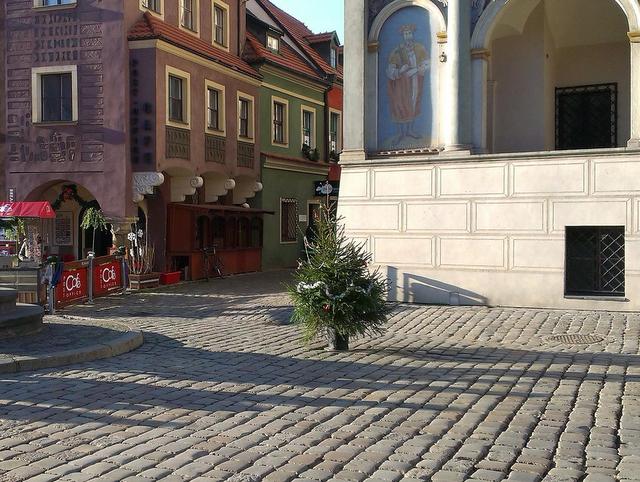 nowa choinka na rynku - Adam Michalkiewicz