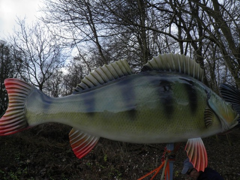 wielka ryba z trzcianki 6 - Nadnotecka Grupa Rybacka