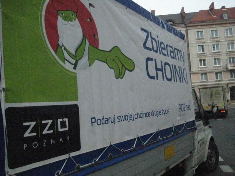 zbierali choinki (1) - Jacek Butlewski