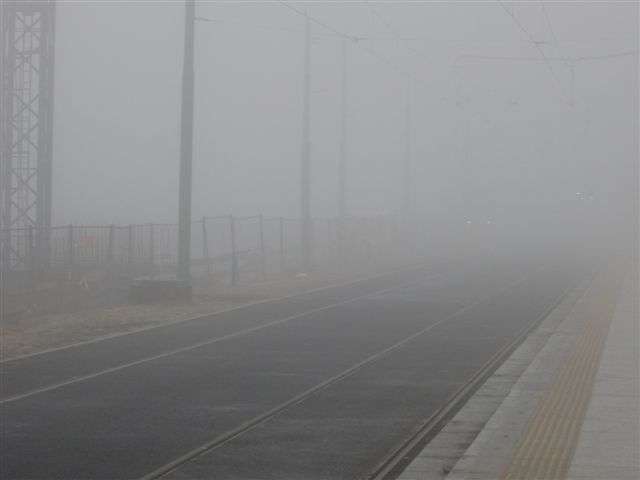 mgła - Magdalena Konieczna