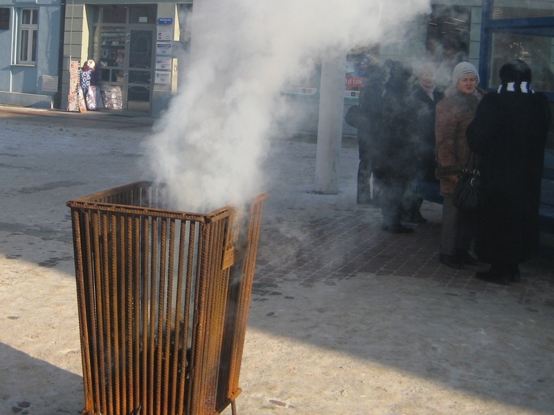 koksowniki w pile - Wiesława Pinkowska