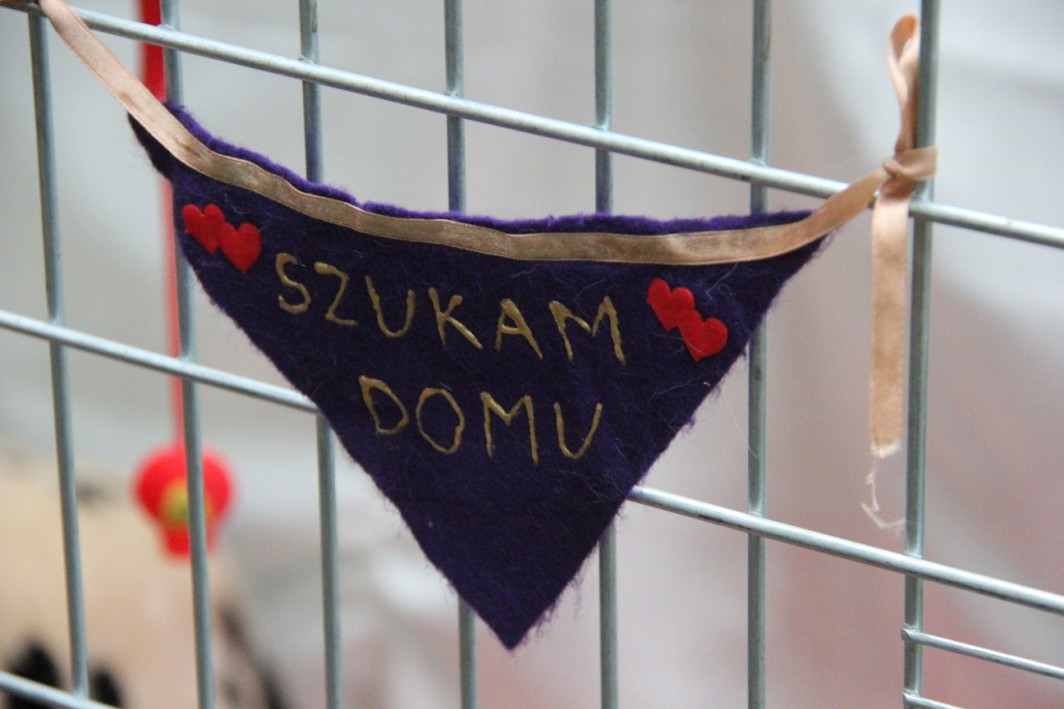 Grzegorz Maciejewski