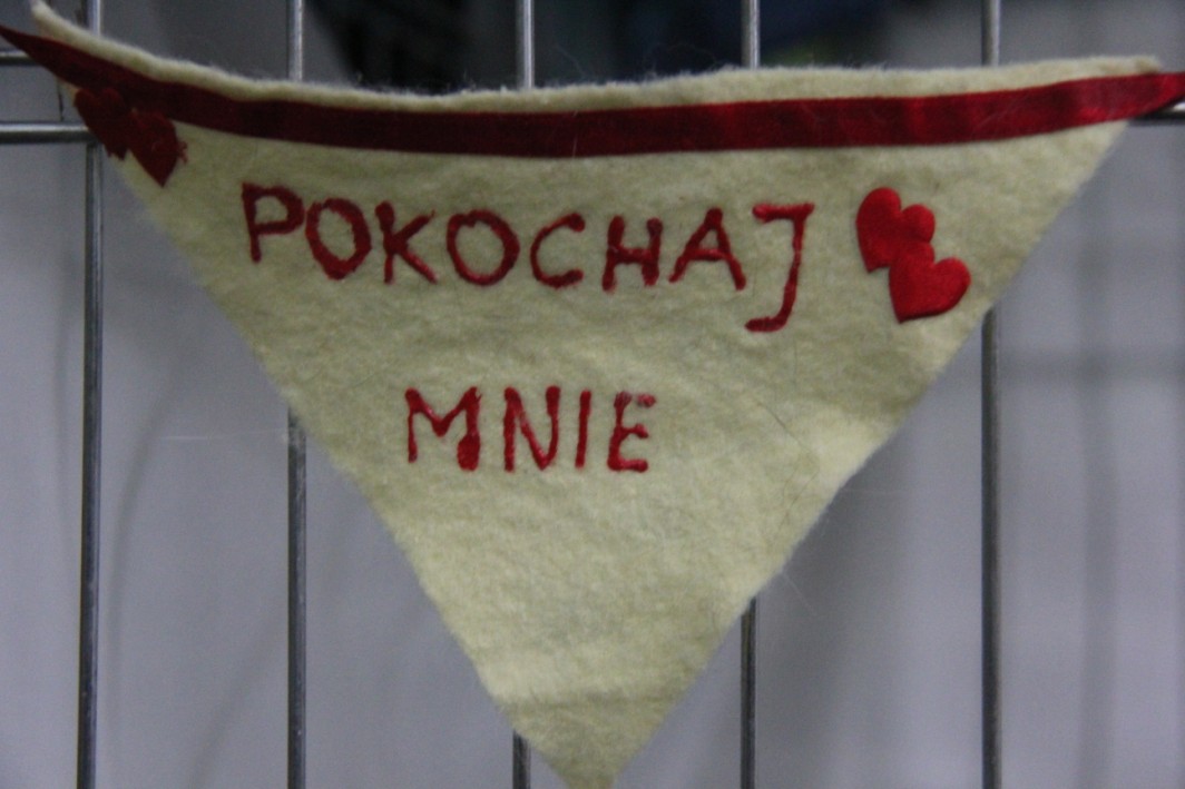 Grzegorz Maciejewski