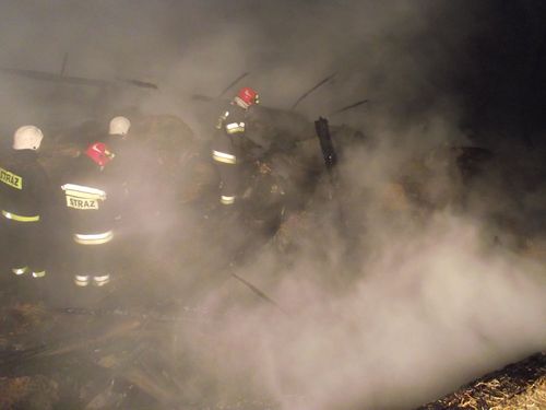 straz pozarna akcja zimowa - KW PSP w Poznaniu