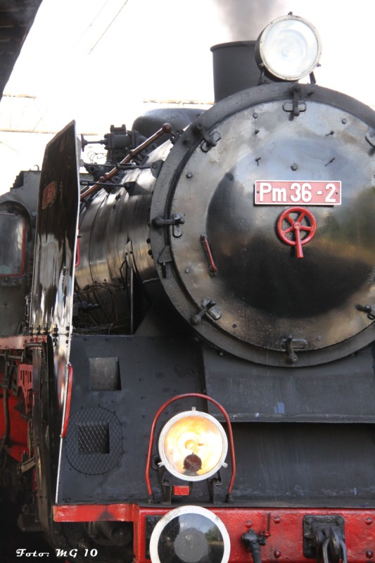 Grzegorz Maciejewski