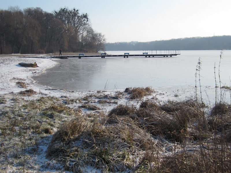 lodowisko Rusałka zamarznięte lód 2 - Adam Michalkiewicz