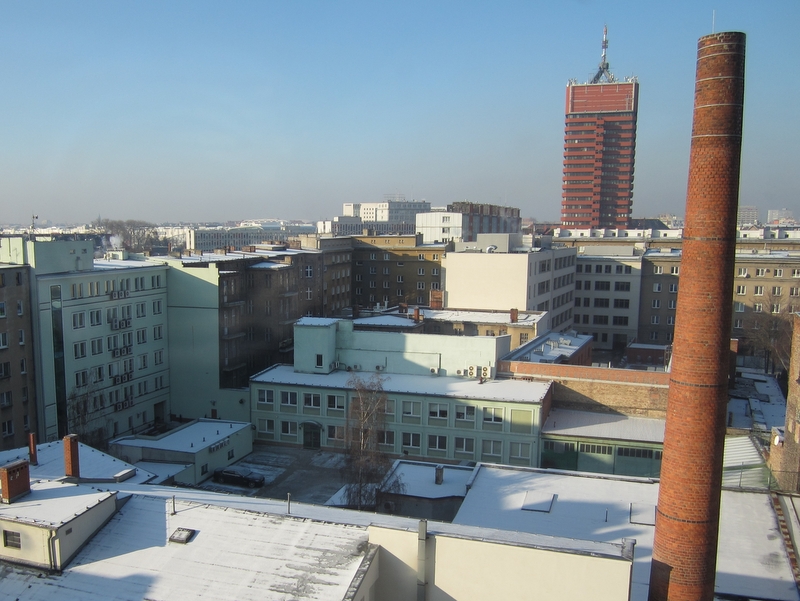 zimowy poznan - Adam Michalkiewicz