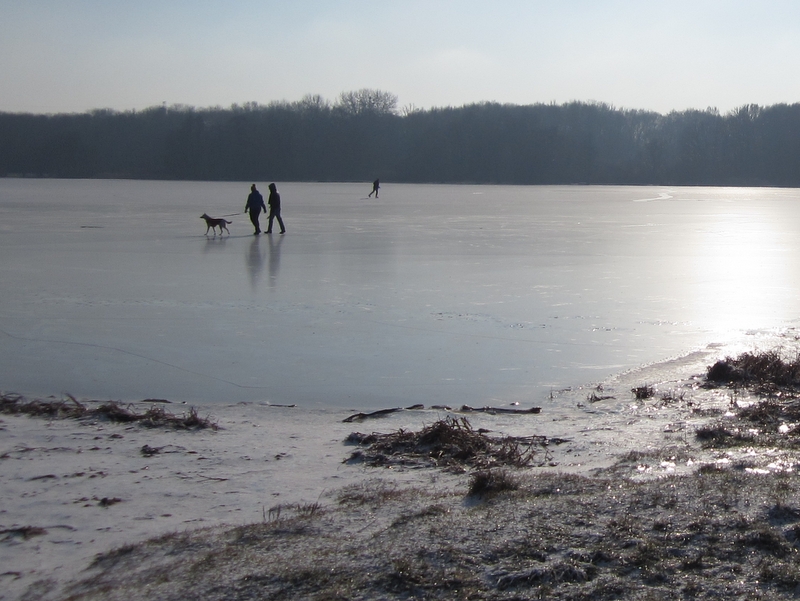 lodowisko Rusałka zamarznięte lód 3 - Adam Michalkiewicz