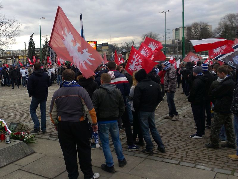 marsz zwycięstwa 2014 (5) - Adam Michalkiewicz