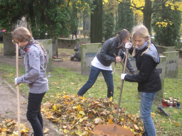 Sprzątanie Cytadeli - Alicja Łatka