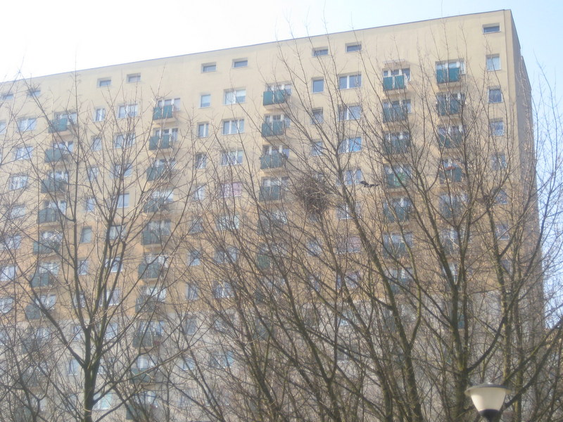 spółdzielnie bloki - Jacek Butlewski