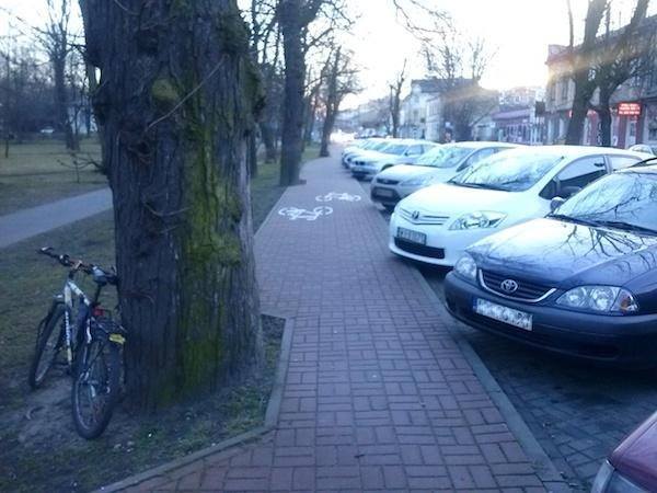 rowerowa sciezka - Rowerowa Masa Krytyczna Poznań