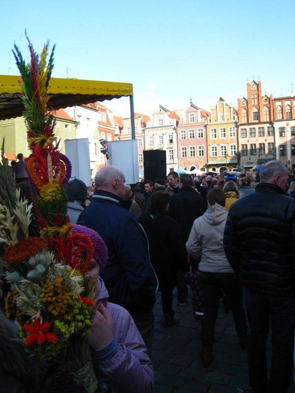 Agnieszka Maciejewska