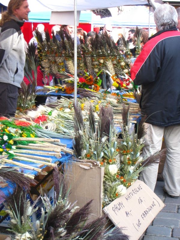 Agnieszka Maciejewska