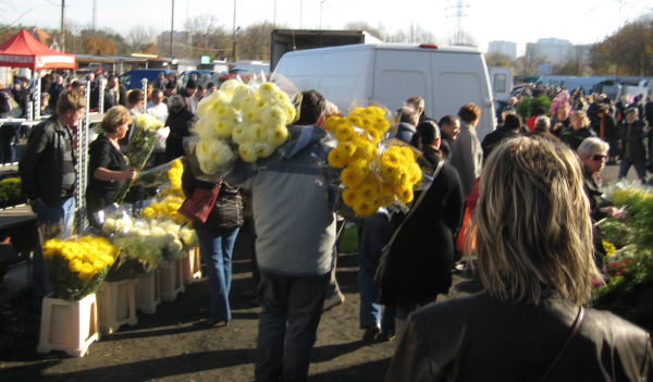 giełda kwiatowa Willda 1 - Adam Michalkiewicz