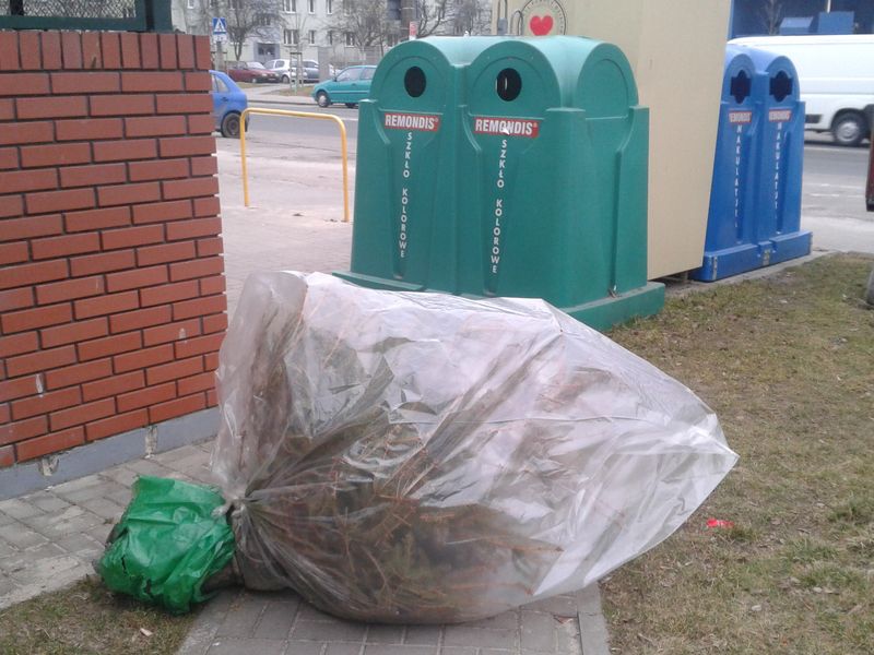 porzucona choinka smieci