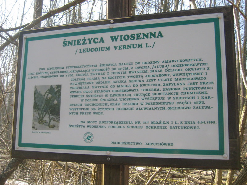 śnieżyca 2014 (3) - Jacek Butlewski