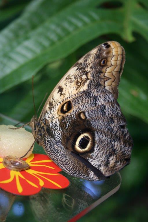 Urząd Miasta Poznania
