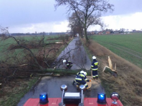 straż wichura drzewo - Wielkopolska Straż Pożarna