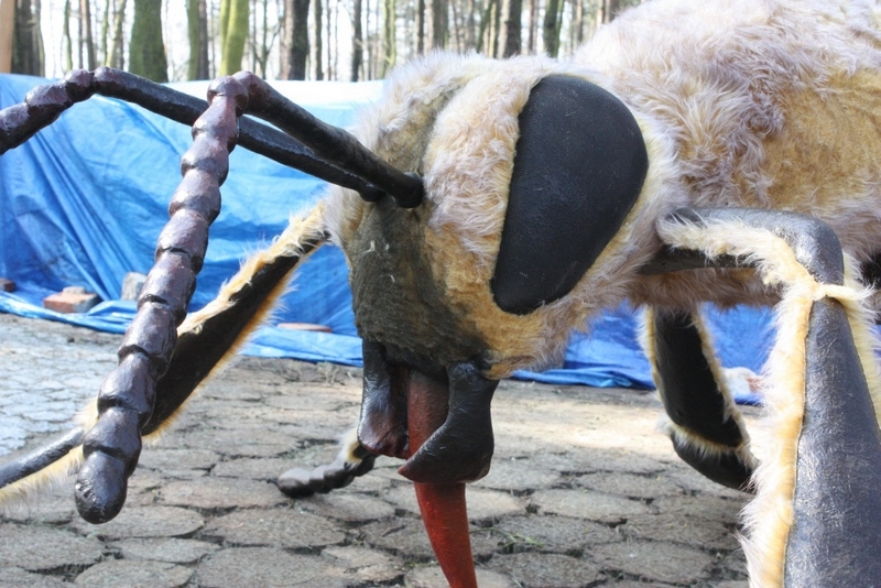 wielkie pszczoly piaski - Jarosław Wardawy