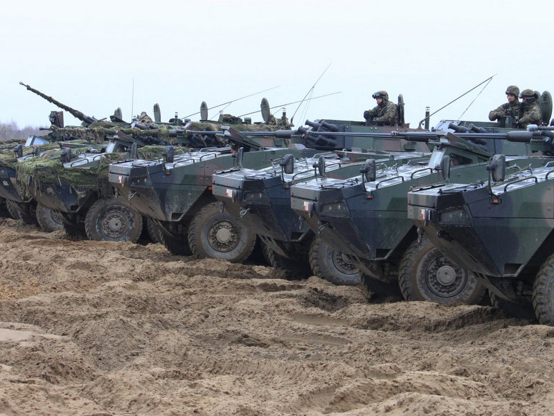 rosomaki w biedrusku - CSWL