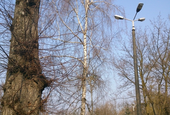 latarnia uliczna - Emilia Chudzińska