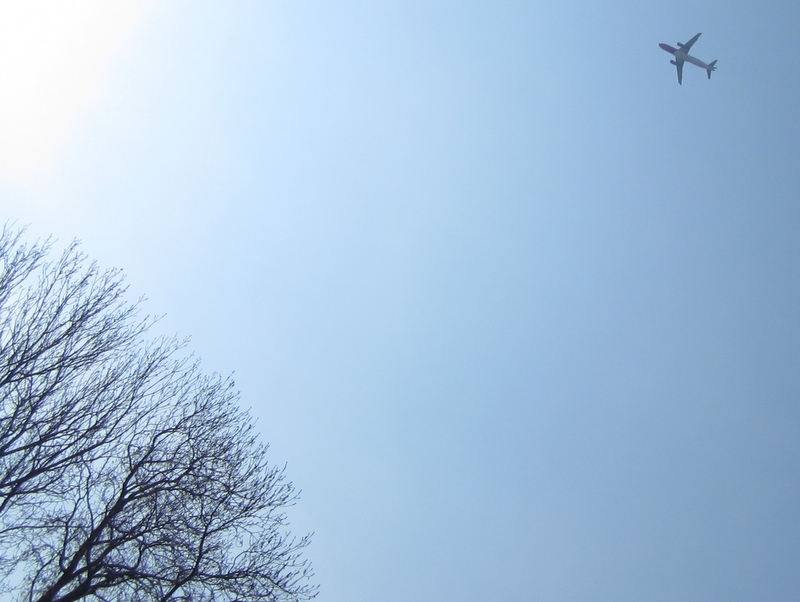 samolot na niebie - Jacek Kosiak