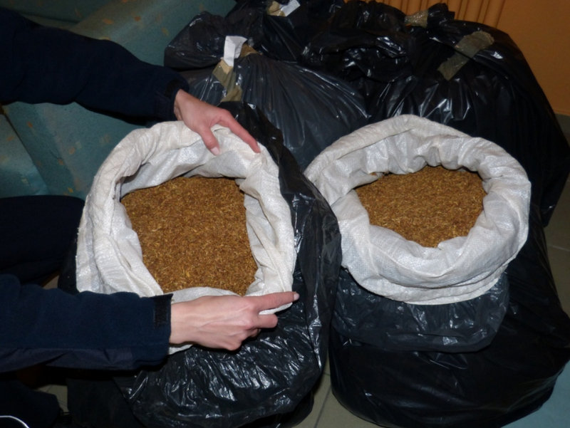 tyton zatrzymany pod lesznem - Policja/Leszno