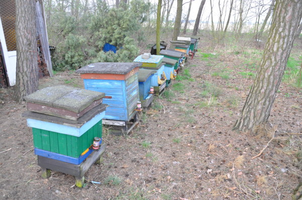 ukradzione ule - KWP w Poznaniu