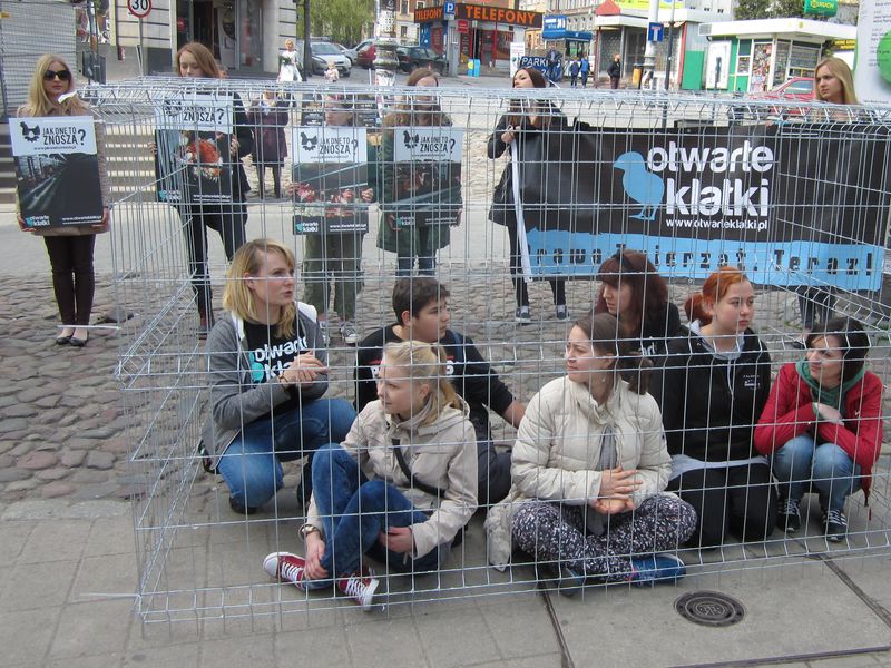 jak one to znosza3 - Jacek Kosiak