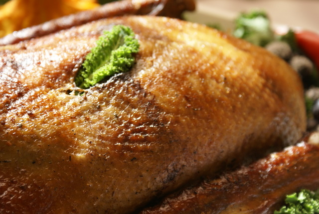 Gęsina w Wielkopolsce - Związek Hodowców i Producentów Gęsi