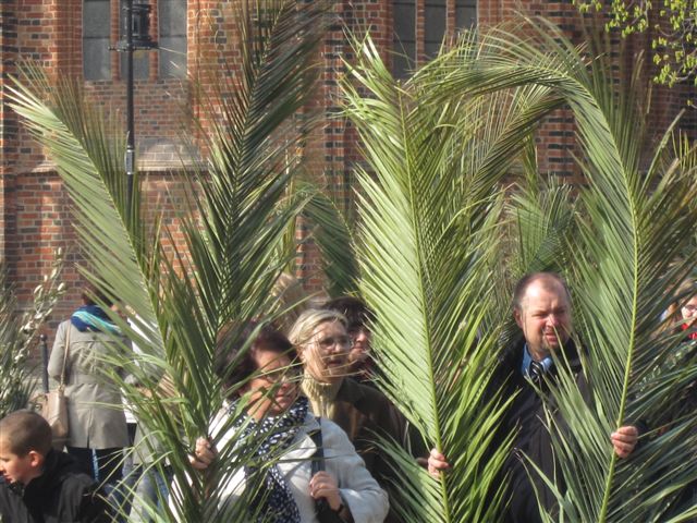 niedziela palmowa 2014 (12) - Magda Konieczna