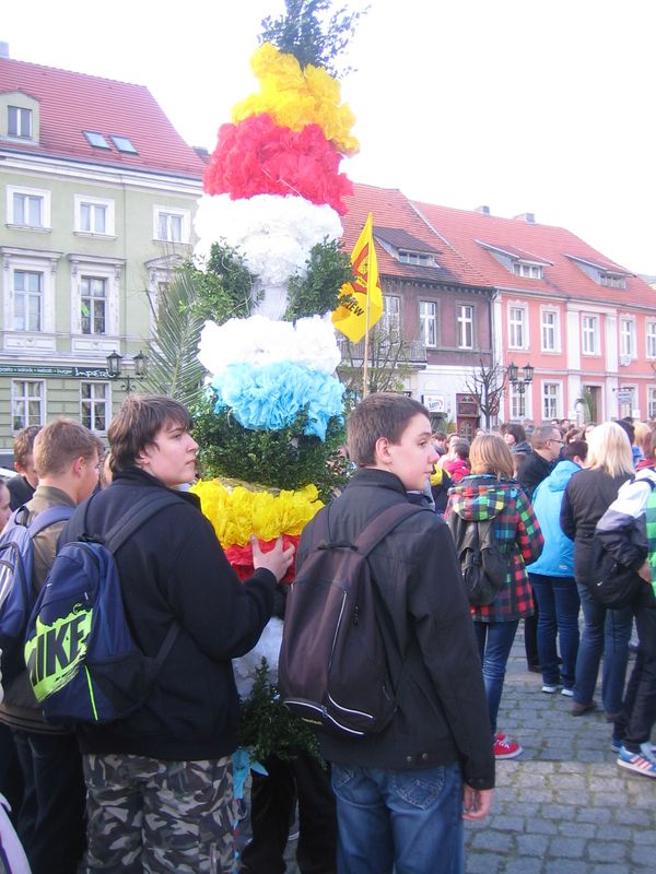 palmy w Gnieznie - Rafał Muniak