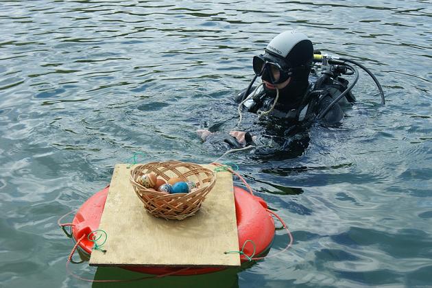 nurek-z-jajami - Marcin Maziarz 