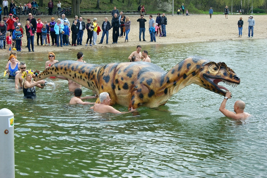 allozaur w wodzie - Marcin Maziarz