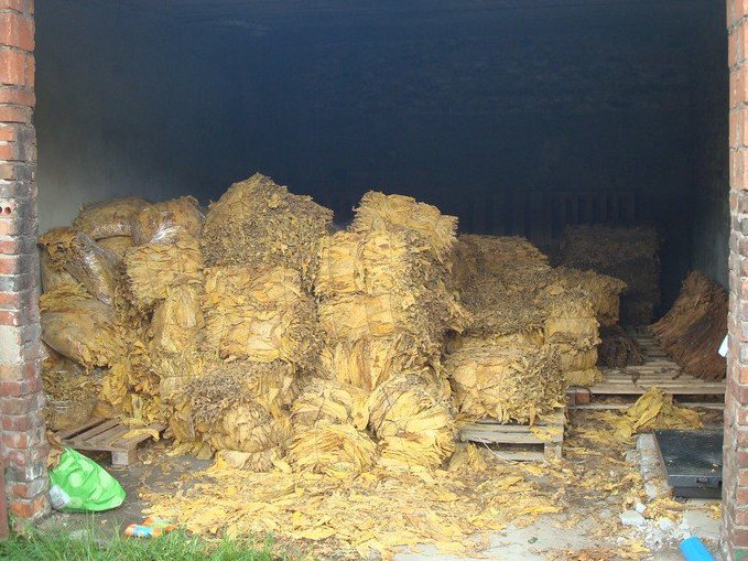 tyton w garazu - Policja